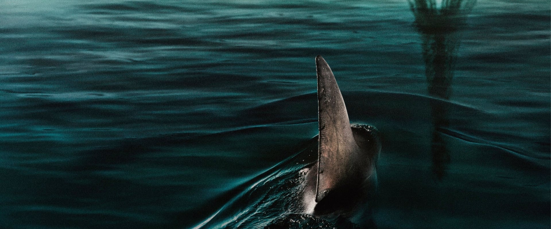 دانلود فیلم Under Paris 2024 (زیر پاریس 2024) بدون سانسور با زیرنویس فارسی