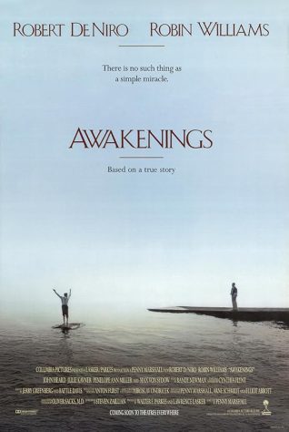 دانلود فیلم Awakenings 1990 دانلود فیلم Awakenings 1990
