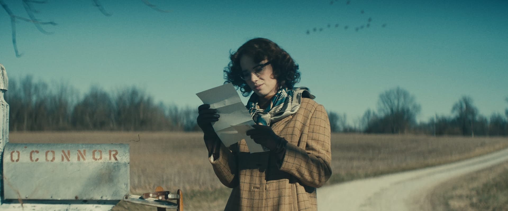 دانلود فیلم Wildcat 2023 (گربه وحشی 2023) بدون سانسور با زیرنویس فارسی