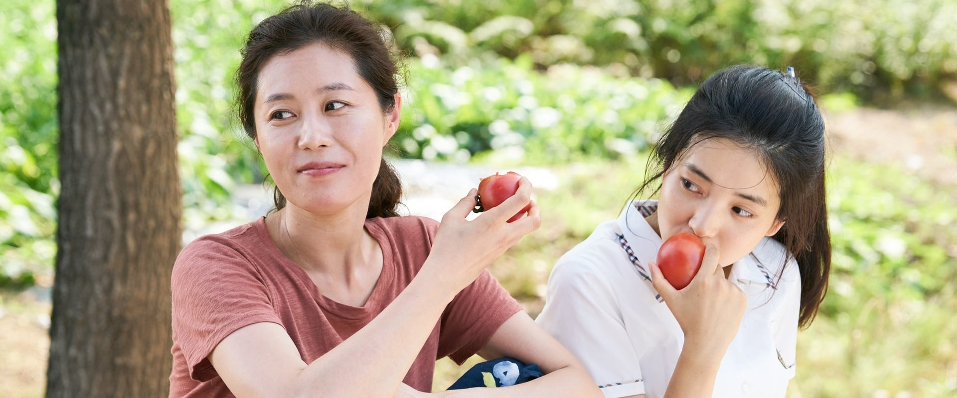 دانلود فیلم Little Forest 2018 (جنگل کوچک 2018) بدون سانسور با زیرنویس فارسی