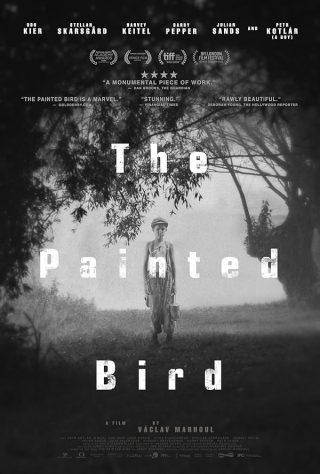 دانلود فیلم The Painted Bird 2019 دانلود فیلم The Painted Bird 2019