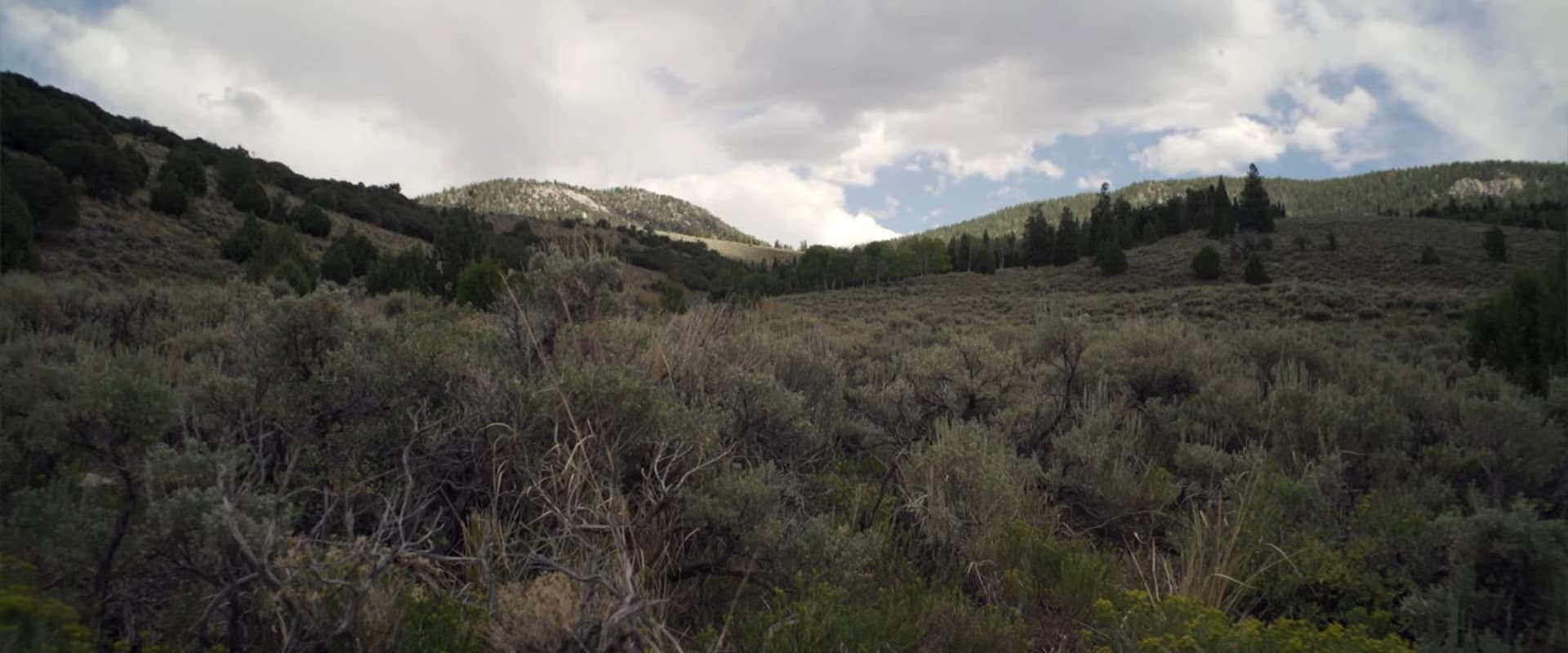 دانلود فیلم Horror in the High Desert 2021 (وحشت در بیابان مرتفع 2021) بدون سانسور با زیرنویس فارسی