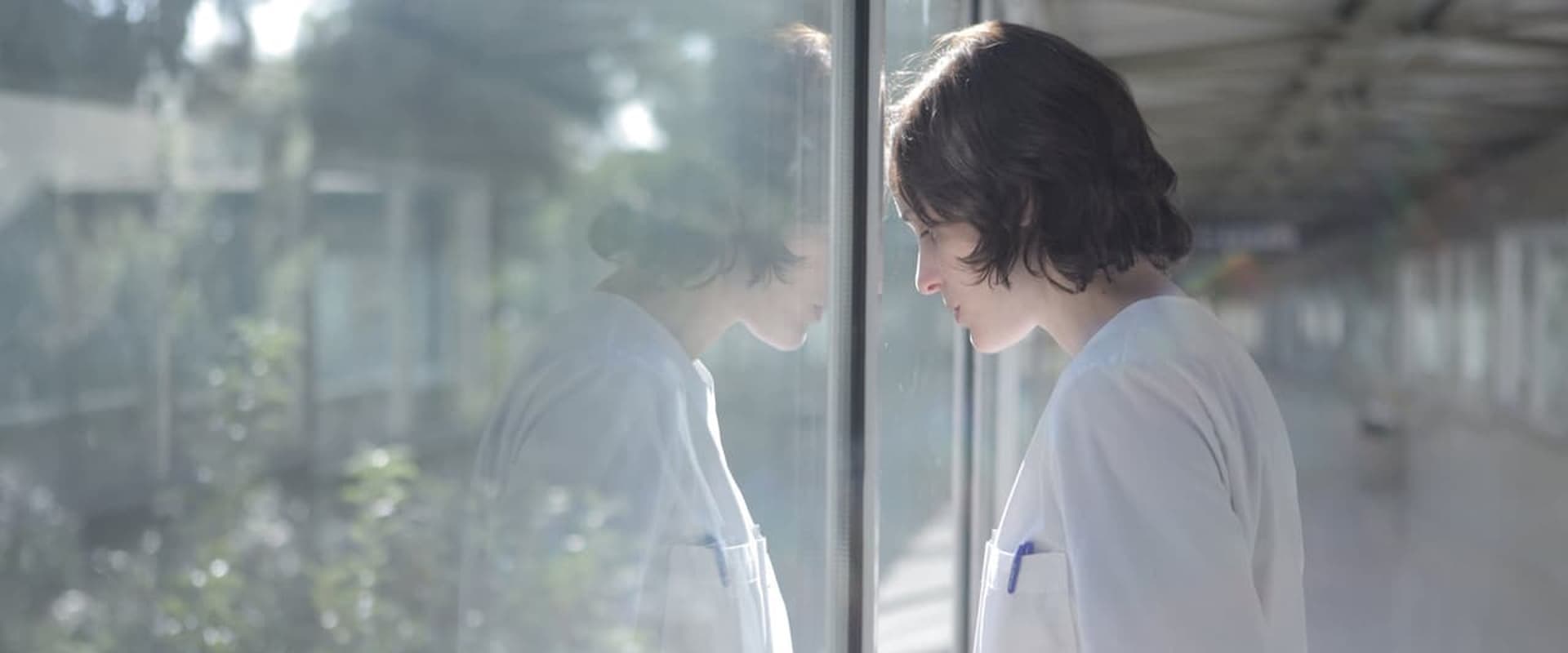 دانلود فیلم Alps 2011 (آلپ 2011) بدون سانسور با زیرنویس فارسی