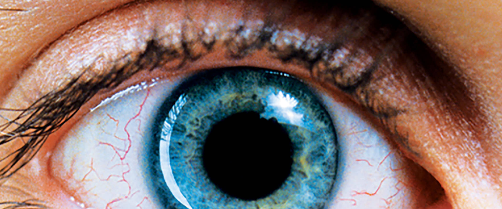 دانلود فیلم Requiem for a Dream 2000 (مرثیه‌ای بر یک رویا 2000) بدون سانسور با زیرنویس فارسی