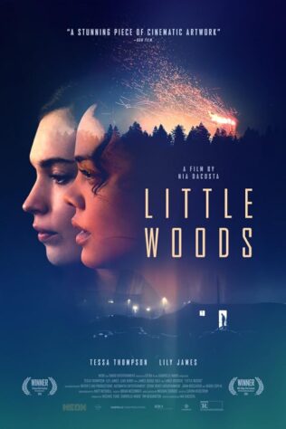 دانلود فیلم Little Woods 2018 دانلود فیلم Little Woods 2018