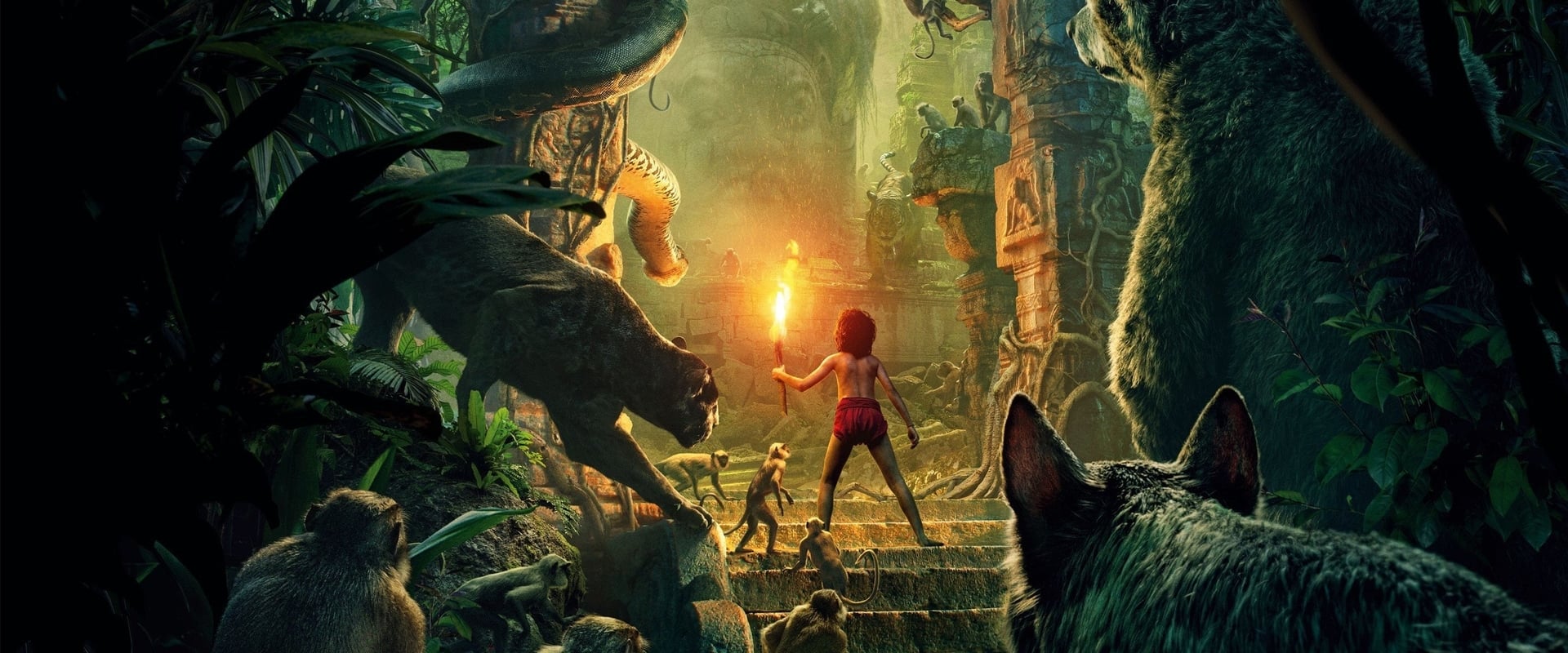 دانلود انیمیشن The Jungle Book 2016 (کتاب جنگل 2016) بدون سانسور با زیرنویس فارسی