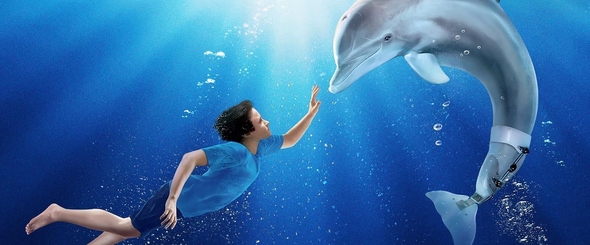 دانلود فیلم Dolphin Tale 2011 (داستان دلفین 2011) بدون سانسور با زیرنویس فارسی