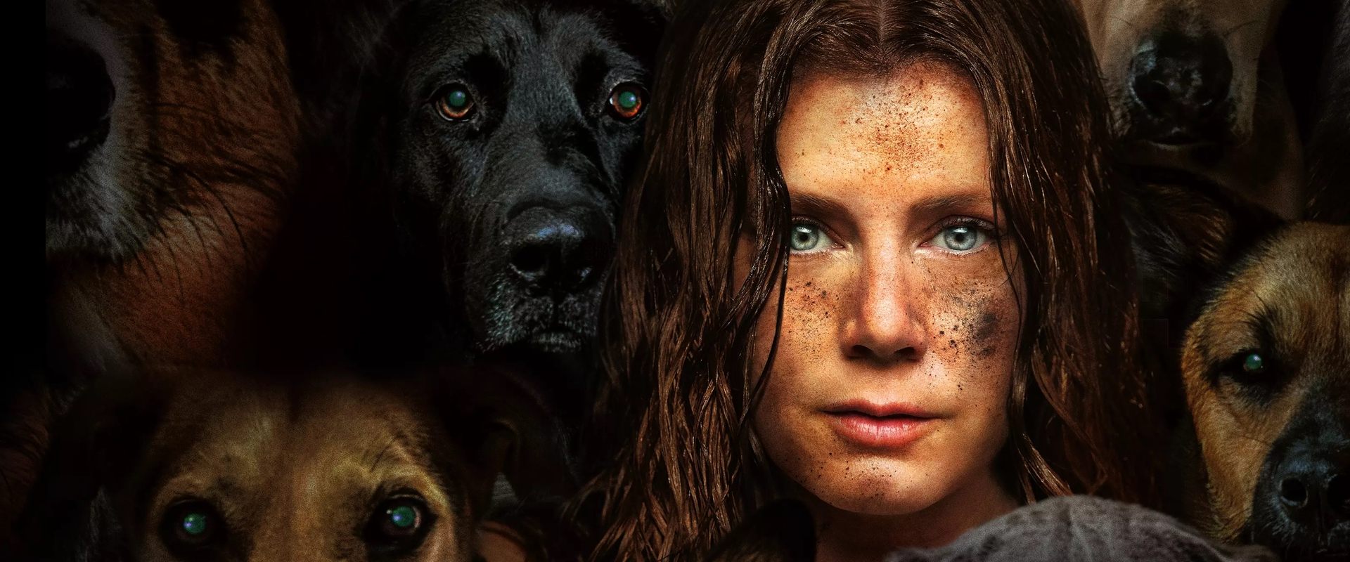 دانلود فیلم Nightbitch 2024 (مادر گرگ‌ نما 2024) بدون سانسور با زیرنویس فارسی