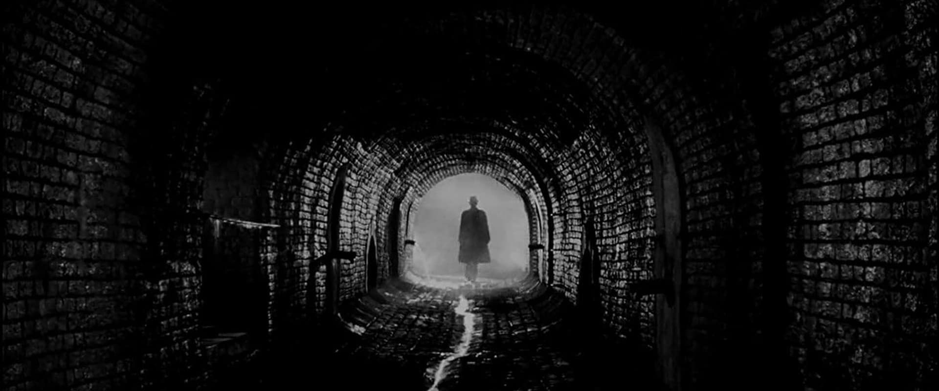 دانلود فیلم The Third Man 1949 (مرد سوم 1949) بدون سانسور با زیرنویس فارسی