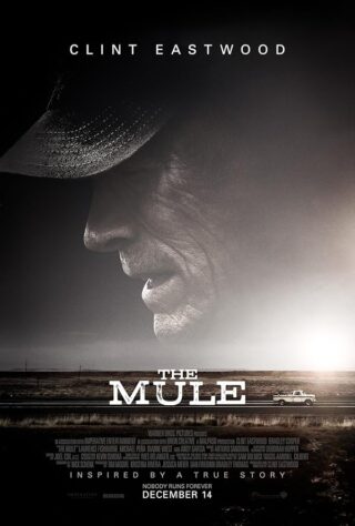 دانلود فیلم The Mule 2018 دانلود فیلم The Mule 2018