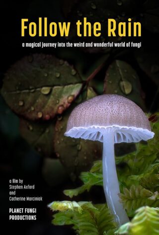 دانلود مستند Follow the Rain 2024 دانلود مستند Follow the Rain 2024