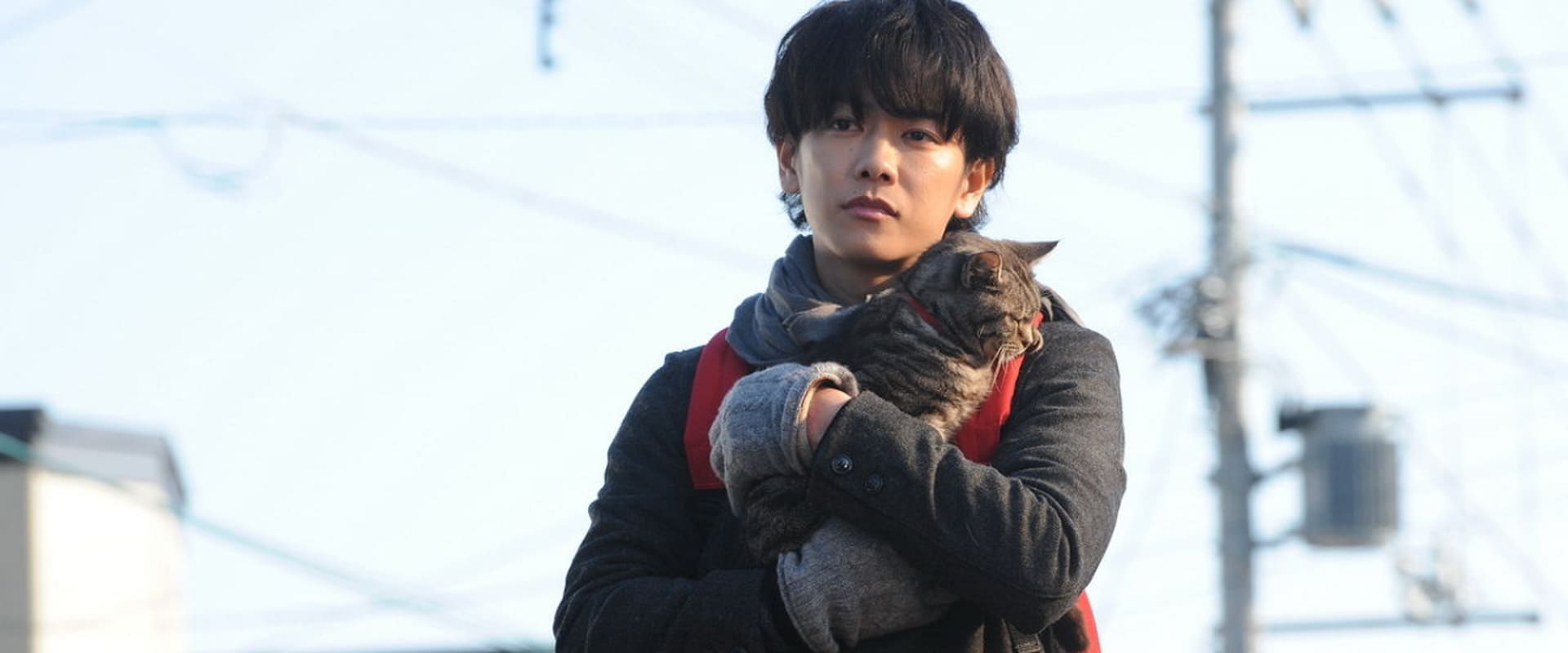 دانلود فیلم If Cats Disappeared from the World 2016 (اگر گربه‌ها در دنیا نباشند 2016) بدون سانسور با زیرنویس فارسی