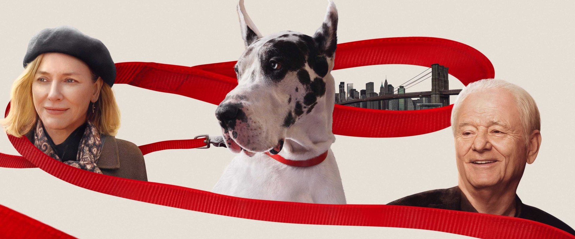 دانلود فیلم The Friend 2024 (دوست 2024) بدون سانسور با زیرنویس فارسی