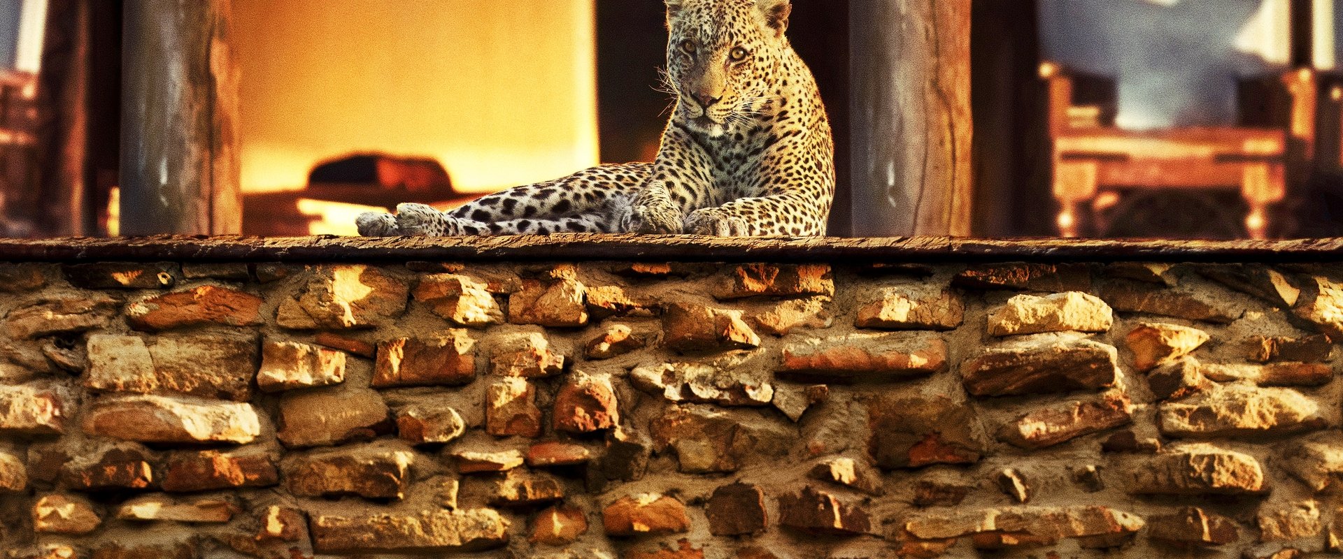 دانلود فیلم The Year Earth Changed 2021 (سالی که جهان تغییر کرد 2021) بدون سانسور با زیرنویس فارسی