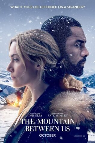 دانلود فیلم The Mountain Between Us 2017 دانلود فیلم The Mountain Between Us 2017