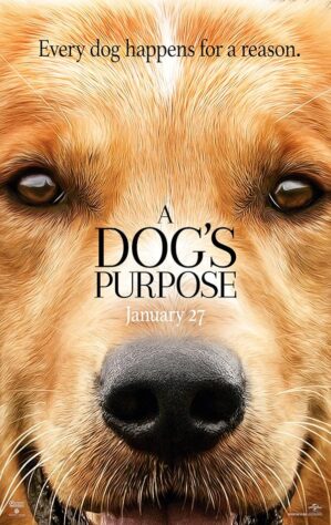دانلود فیلم A Dog’s Purpose 2017 دانلود فیلم A Dog’s Purpose 2017