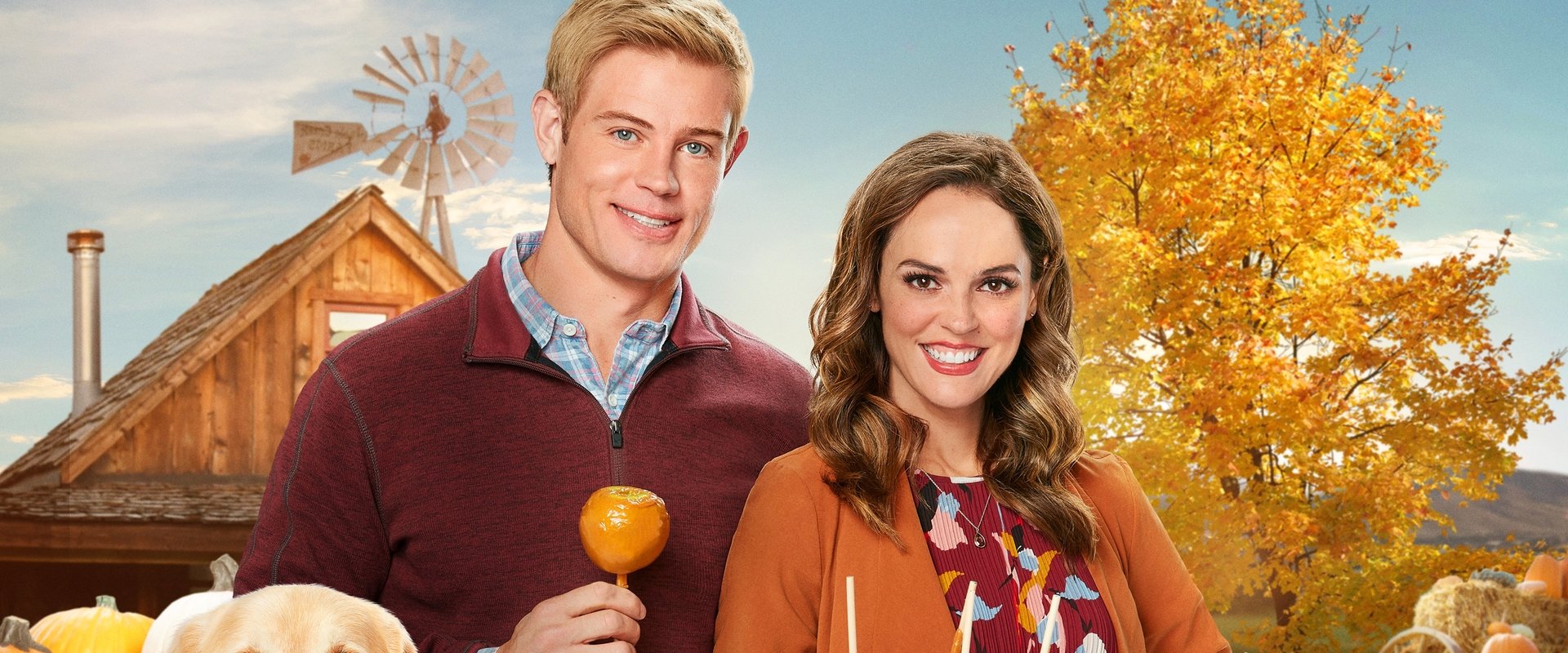 دانلود فیلم Love Fall & Order 2019 (عشق، پاییز و قانون 2019) بدون سانسور با زیرنویس فارسی