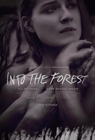 دانلود فیلم Into the Forest 2015 دانلود فیلم Into the Forest 2015