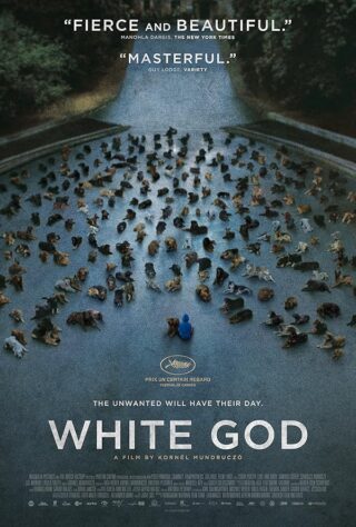 دانلود فیلم White God 2014 دانلود فیلم White God 2014