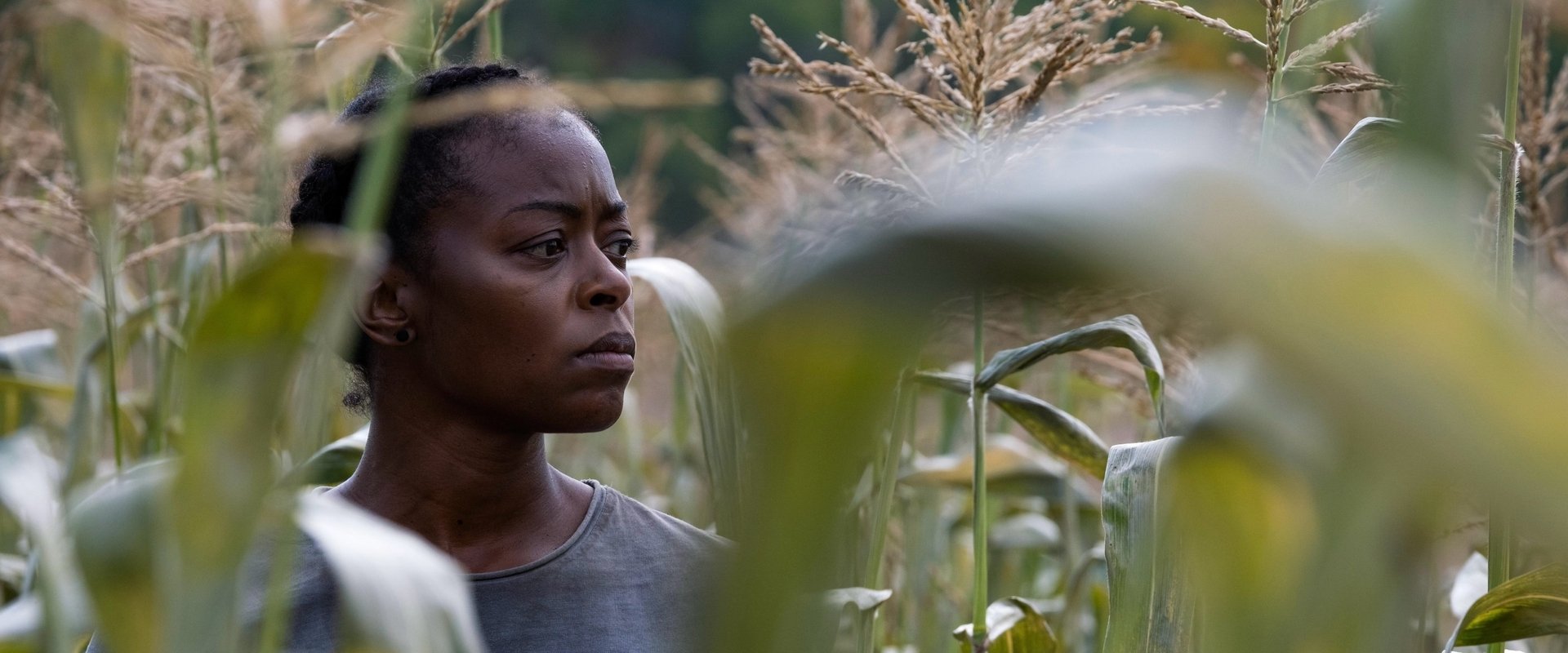 دانلود فیلم 40 Acres 2024 (چهل آکر زمین 2024) بدون سانسور با زیرنویس فارسی