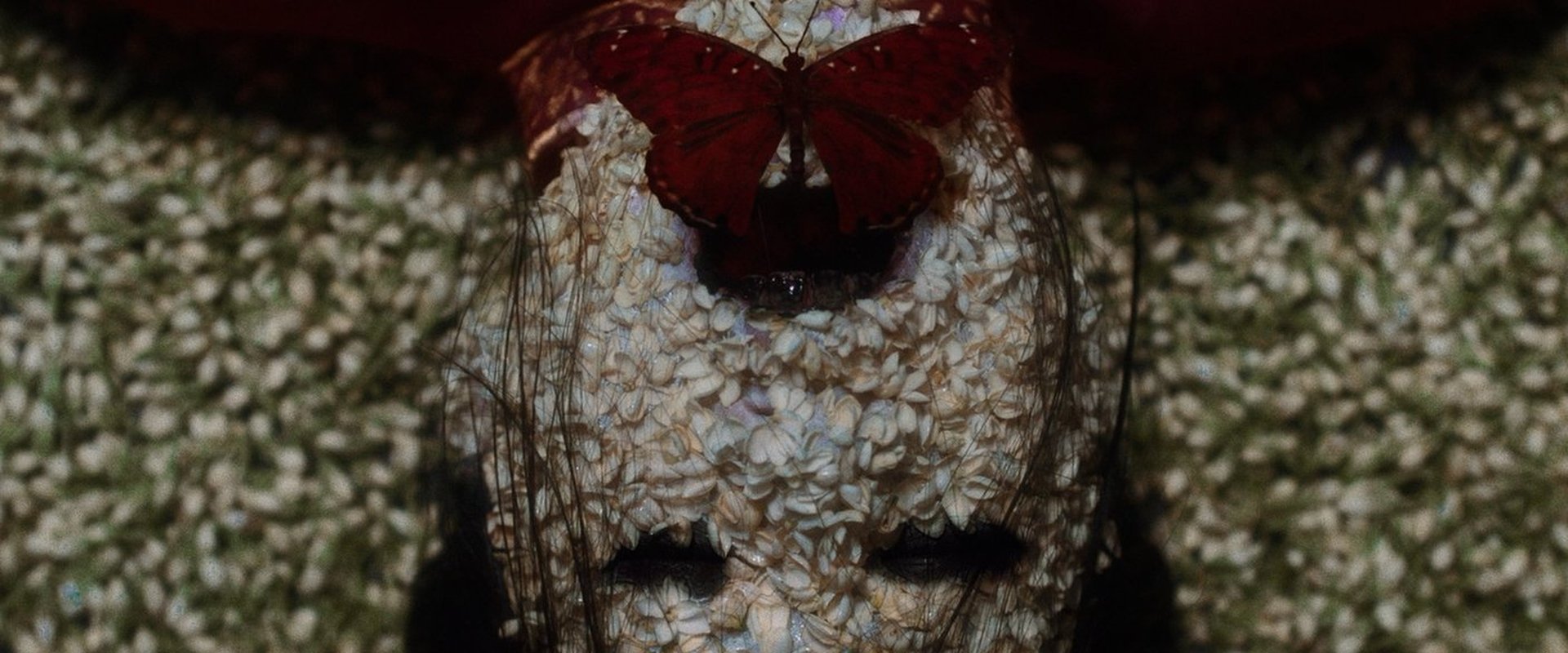 دانلود فیلم The Butterfly House 2025 (خانه پروانه 2025) بدون سانسور با زیرنویس فارسی