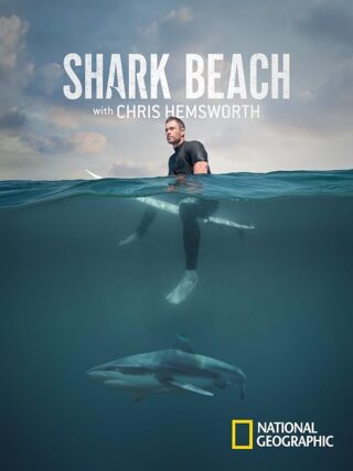 دانلود فیلم Shark Beach with Chris Hemsworth 2021 دانلود فیلم Shark Beach with Chris Hemsworth 2021