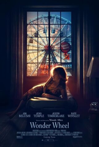 دانلود فیلم Wonder Wheel 2017 دانلود فیلم Wonder Wheel 2017