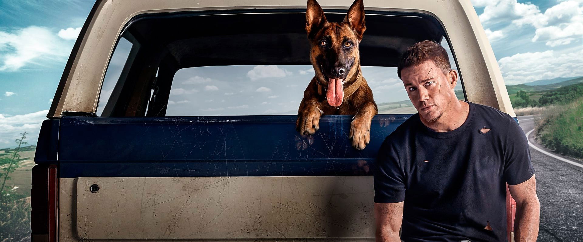 دانلود فیلم Dog 2022 (سگ 2022) بدون سانسور با زیرنویس فارسی