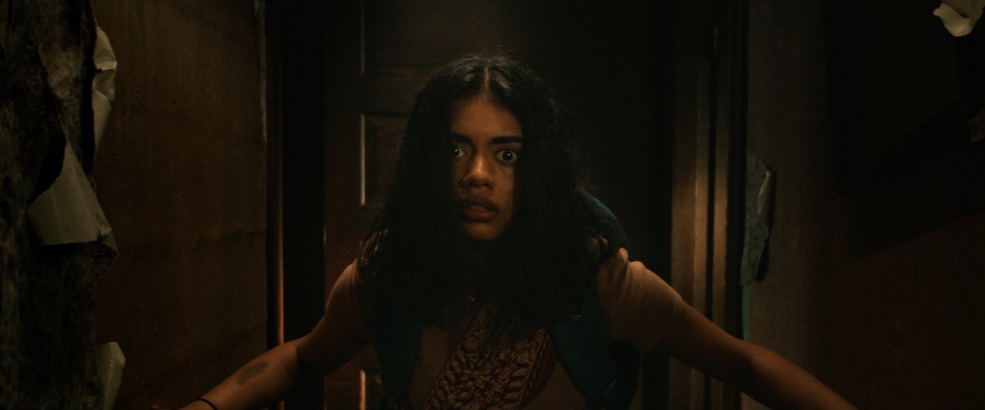 دانلود فیلم It Lives Inside 2023 (در داخل زندگی می کند 2023) بدون سانسور با زیرنویس فارسی