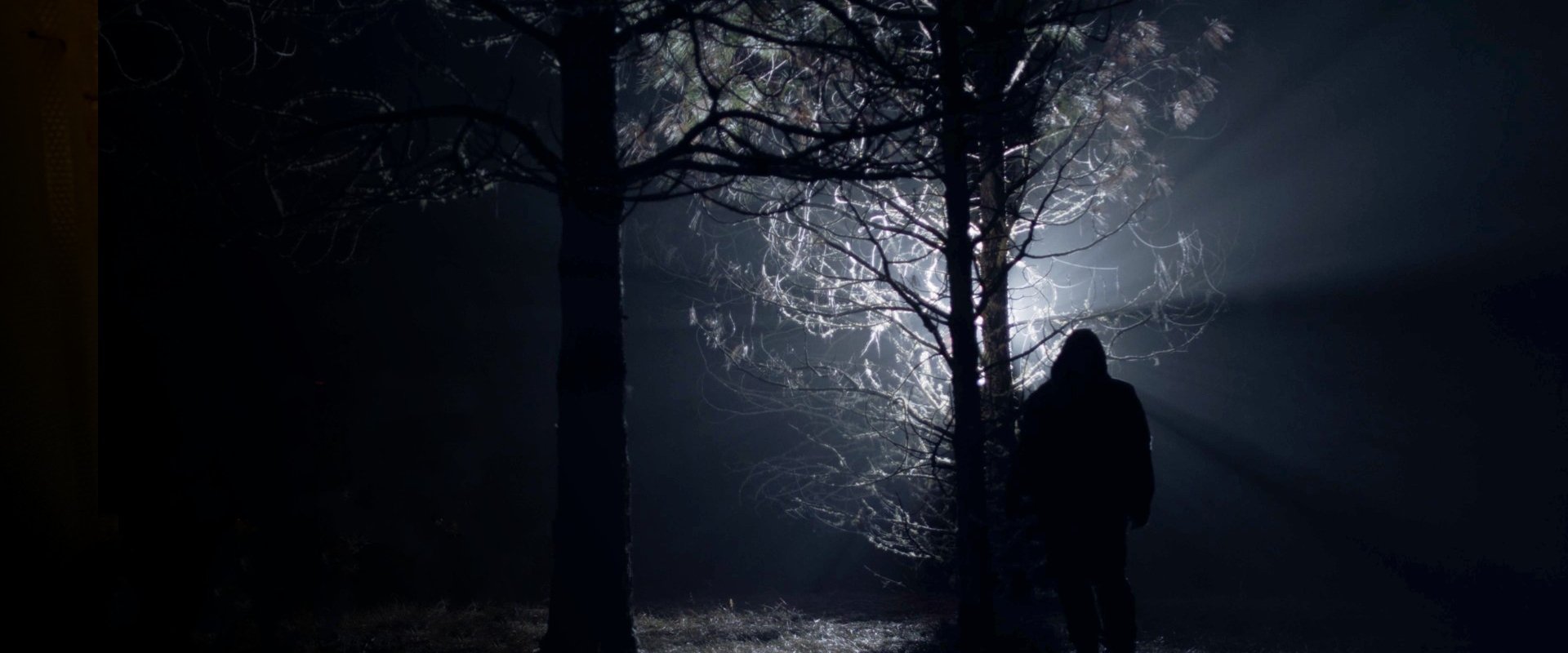 دانلود فیلم Piglady 2023 (بانوی خوک‌صفت 2023) بدون سانسور با زیرنویس فارسی