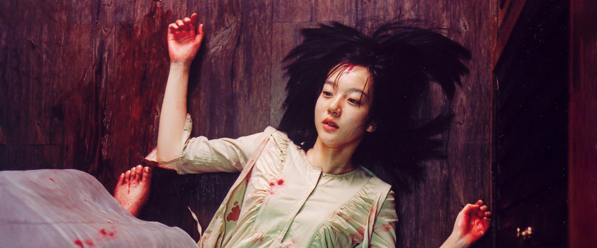 دانلود فیلم A Tale of Two Sisters 2003 (داستان دو خواهر 2003) بدون سانسور با زیرنویس فارسی