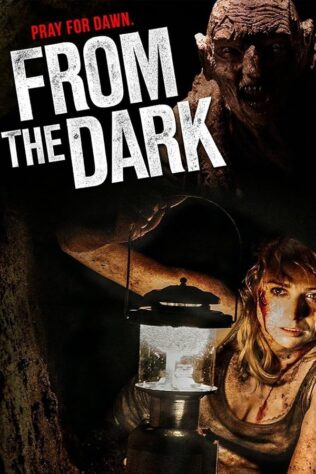 دانلود فیلم From the Dark 2014 دانلود فیلم From the Dark 2014