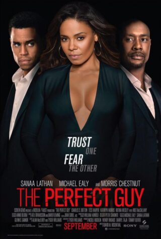 دانلود فیلم The Perfect Guy 2015 دانلود فیلم The Perfect Guy 2015