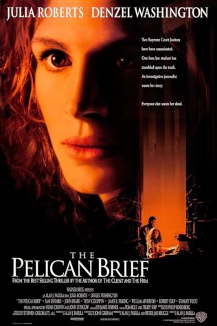 دانلود فیلم The Pelican Brief 1993 دانلود فیلم The Pelican Brief 1993