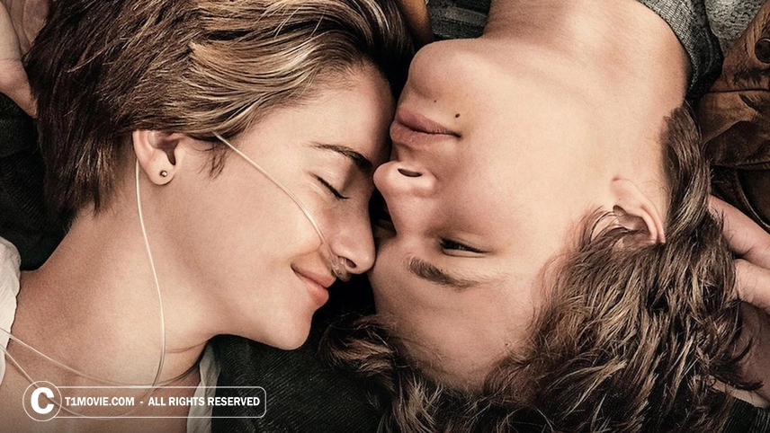 سکانسی از فیلم The Fault in Our Stars
