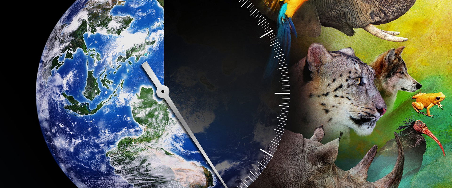 دانلود مستند Racing Extinction 2015 (مسابقه انقراض 2015) بدون سانسور با زیرنویس فارسی