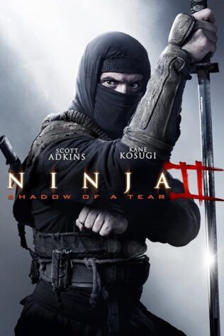 دانلود فیلم Ninja: Shadow of a Tear 2013 دانلود فیلم Ninja: Shadow of a Tear 2013 (نینجا: سایه اشک 2013) بدون سانسور با زیرنویس فارسی