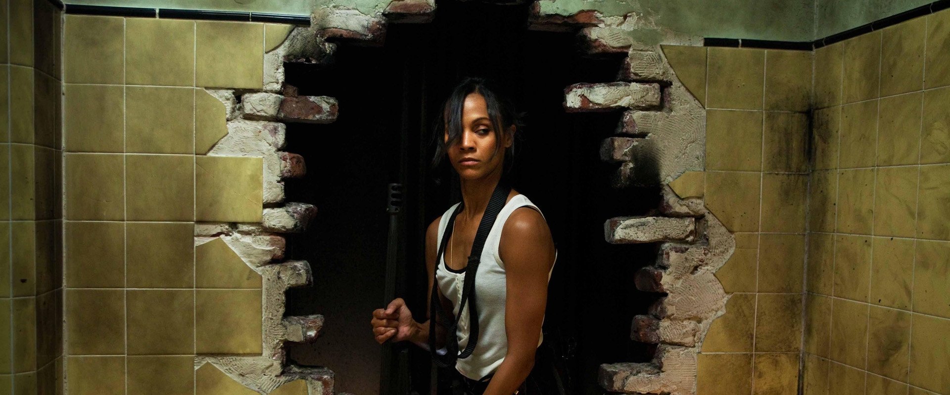 دانلود فیلم Colombiana 2011 (کلمبیانا 2011) بدون سانسور با زیرنویس فارسی