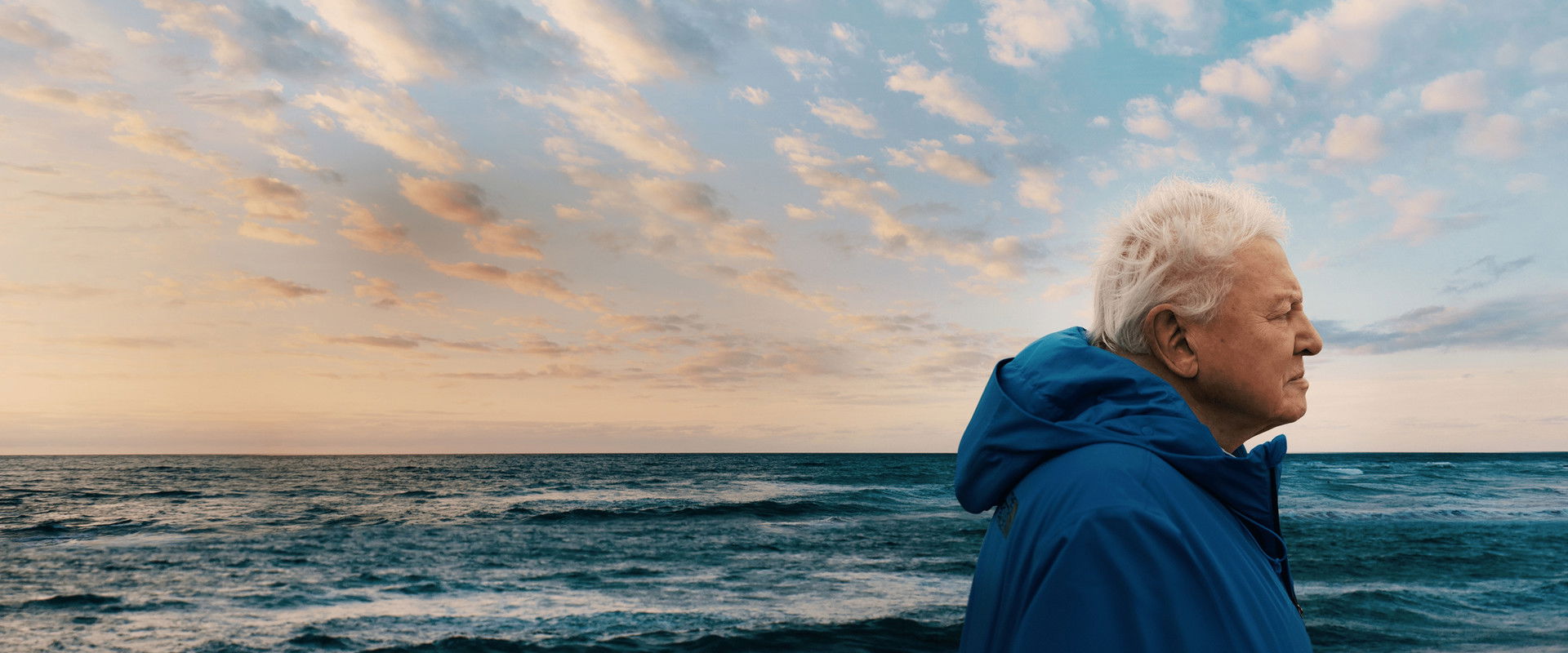 دانلود مستند Ocean with David Attenborough 2025 (اقیانوس با دیوید اتنبرو 2025) بدون سانسور با زیرنویس فارسی