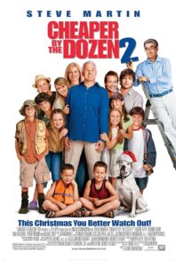 Cheaper by the Dozen 2 2005