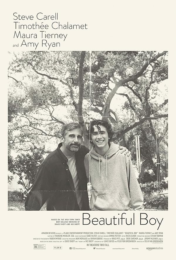 دانلود فیلم Beautiful Boy 2018 دانلود فیلم Beautiful Boy 2018