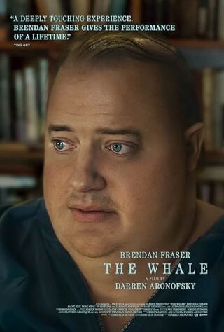 دانلود فیلم The Whale 2022 دانلود فیلم The Whale 2022 (نهنگ 2022) بدون سانسور با زیرنویس فارسی